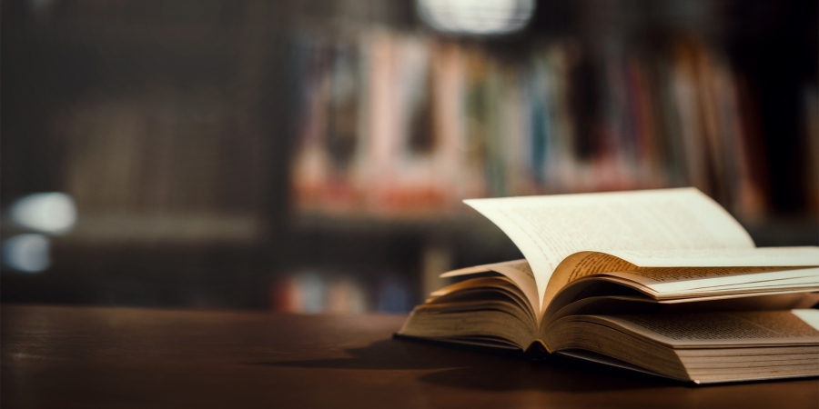 Pellentesque fringilla, erat et interdum mattis