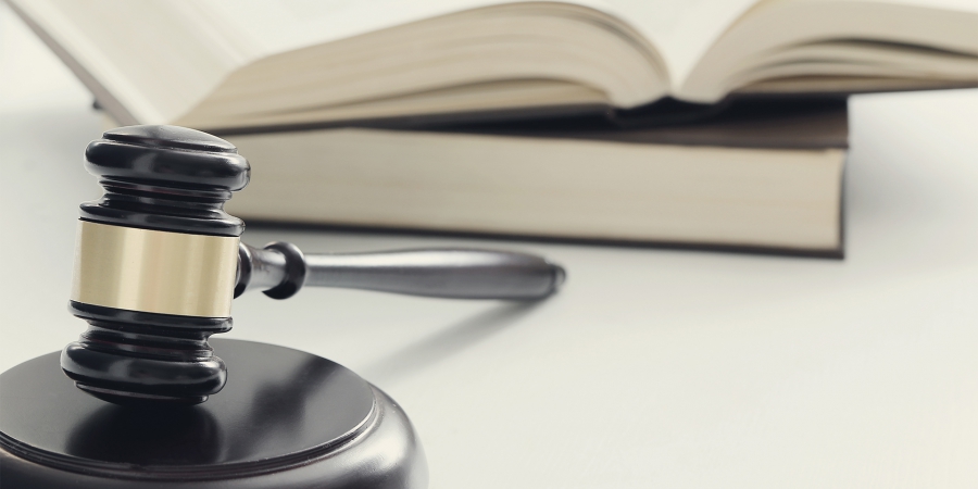 Ut sit amet est et leo porta fermentum